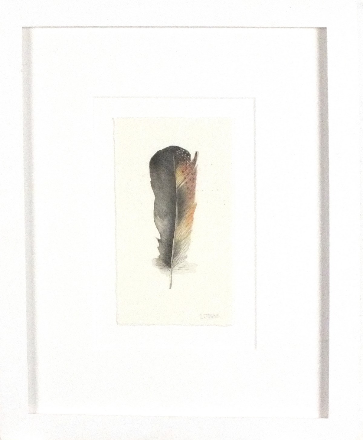 Lou JOHNS (British b. 1971) Chicken Feather, Watercolour, Signed lower right, titled verso, 6" x 3. - Image 2 of 2