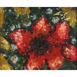 Linda BARKER (20th/21st Century) Flowering Poppy, Oil on board, 9.5" x 11.5" (24cm x 29cm)