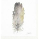 Lou JOHNS (British b. 1971) Duck Feather II, Watercolour, Signed lower right, titled verso, 4" x