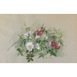 Sally PINHAY (British b. 1946) Dog Rose and Honeysuckle, Watercolour, Signed lower right, 12.5" 19.