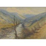 H* STEVENS (British 19th Century) River valley, Watercolour, Signed lower right & dated (18)90, 10.