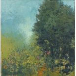 Jenny GRAHAM (British b.1946) 'Summer Meadow I', Oil on canvas, Signed & titled on label verso,