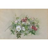 Sally PINHAY (British b. 1946) Dog Rose and Honeysuckle, Watercolour, Signed lower right, 12.5" 19.