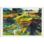 Kevin CHAPMAN (British 20th/21st Century) Low Sun - landscape, Watercolour and ink, Signed lower