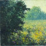 Jenny GRAHAM (British b.1946) 'Summer Meadow II', Oil on canvas, Signed & titled on label verso,