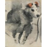 Hyman SEGAL (British 1914-2004) Judy - fox terrier, Watercolour, Signed lower right, titled lower