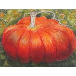 Minou STEINER (French 1940) Pumkin, Pastel on paper, Signed lower right, 11.5" x 14.5" (29cm x