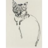 Barbara KARN (British b. 1949) Cat, Charcoal on paper, Signed lower right, titled and signed