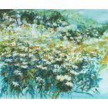 Maggie PICKERING (British b. 1940) Ox-eye Daisy's in a Meadow, Gouache, Signed lower left, 17" x