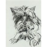 Barbara KARN (British b. 1949) Westie, Charcoal on paper, Signed lower left, titled and signed