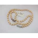 Single row pearls with 9ct clasp