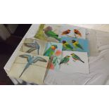 Folder of Seven Unframed Water Colours of Birds. 6” x 8” Average