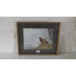 Cecil Hodgkinson – A Golden Eagle Pray. 7.5” x 10.5”. Signed and artist label