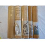LONSDALE LIBRARY Horsemanship 1932, London, 8vo orig. gt.dec.cl. d/w, plus 3 others in d/ws & 1 with