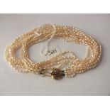 Five strand river pearl necklace with 9ct sapphire set clasp