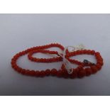 Graduated coral bead necklace, 18” long. The diameter of central coral bead 9mm., 19.3g.
