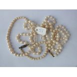 Two pearl necklaces; one with 9ct clasp