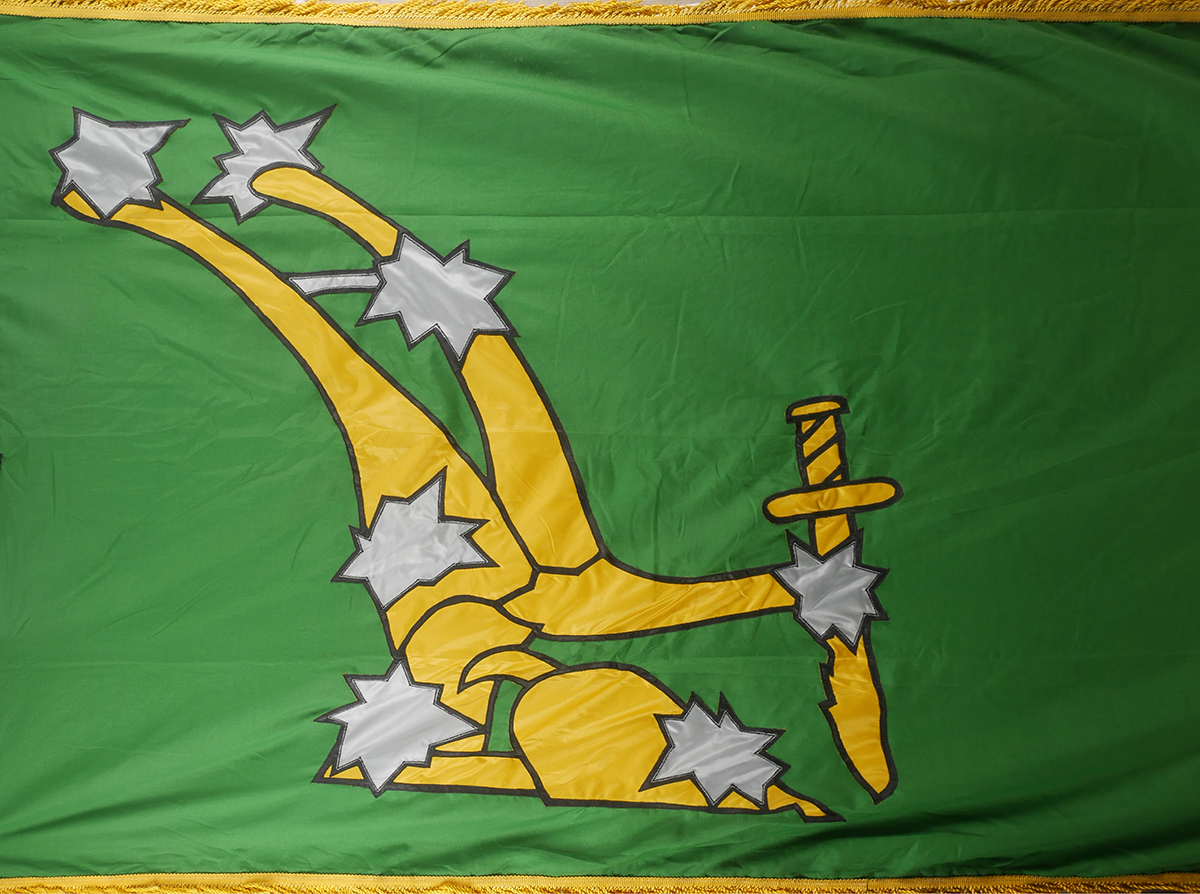 Citizen's Army replica flag. A large flag, the green ground centred with 'Starry Plough' symbol