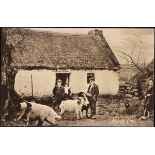 Postcards. Irish Life and Humour collection (150+) Includes farming, home industries, comic,