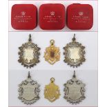 Cricket 1902-1903 Waterford and District Cricket League medals. One 9ct gold medal hallmarked for