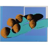 Andy Warhol (USA, 1928-1987)SPACE FRUIT: CANTALOUPES I 201, 1979 screenprint on Lenox Museum