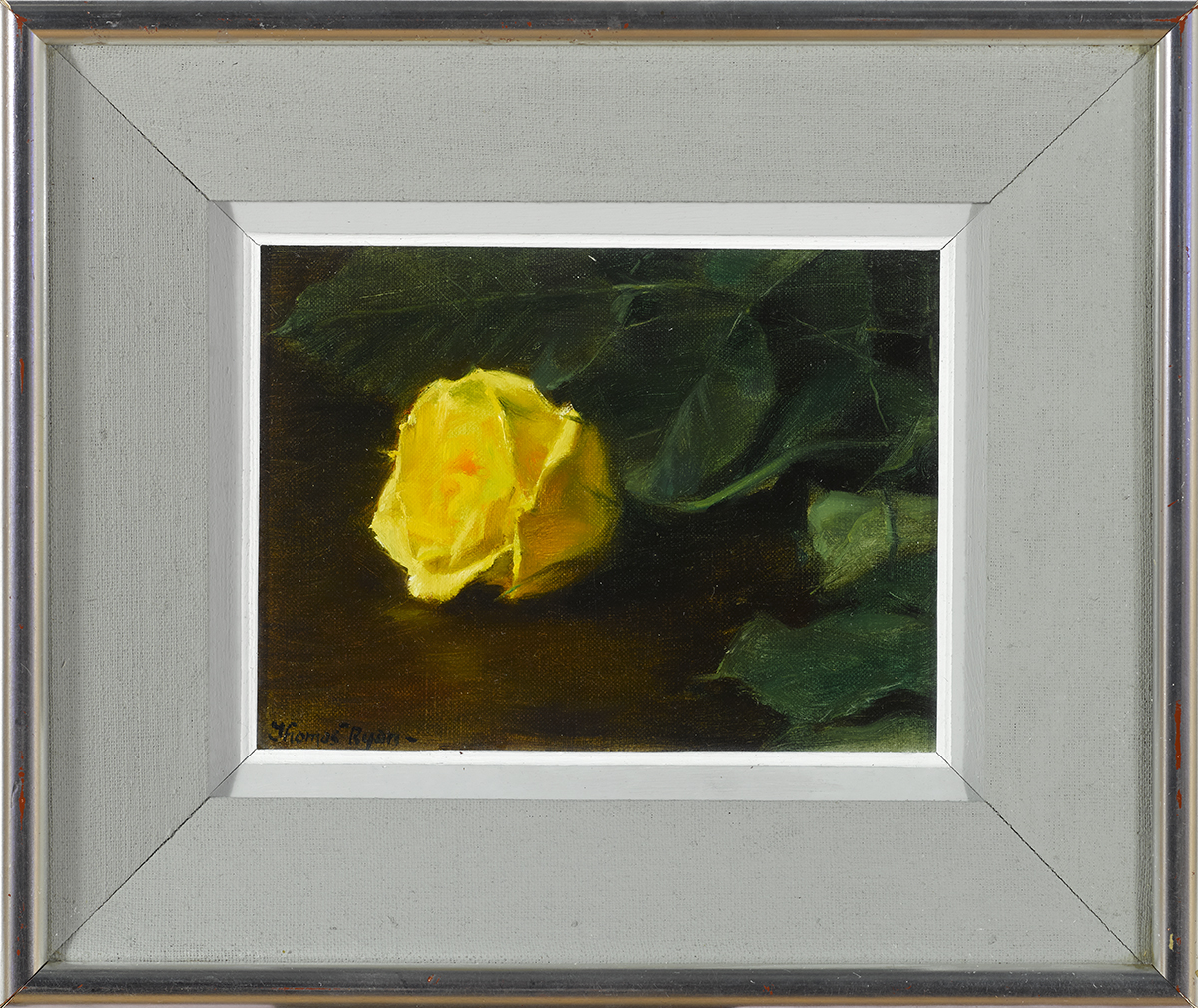 Thomas Ryan PPRHA (b.1929)YELLOW ROSE, 1981 oil on canvas laid on board signed lower right; - Image 2 of 3