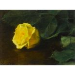 Thomas Ryan PPRHA (b.1929)YELLOW ROSE, 1981 oil on canvas laid on board signed lower right;