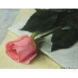 Thomas Ryan PPRHA (b.1929) PINK ROSE, 1984 oil on board signed lower right; titled, dated and