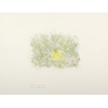 Louis le Brocquy HRHA (1916-2012) ENCLOSED FIELD, BEARA, 1988 lithograph (no. 13 from an edition