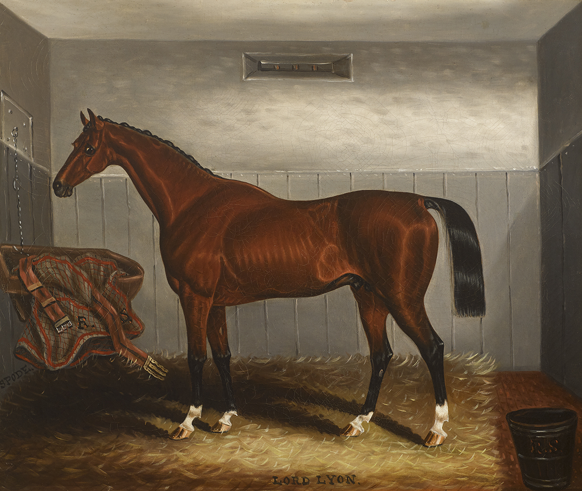 Samuel Spode (fl.1825-1858) LORD LYON, A BAY COLT IN A STABLE oil on canvas signed lower left;