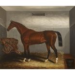 Samuel Spode (fl.1825-1858) LORD LYON, A BAY COLT IN A STABLE oil on canvas signed lower left;