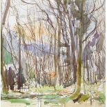 Marc Reilly (b.1956) TREES, 2007 watercolour signed lower left; dated [27.03.2007] lower right 25.50