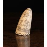 A 19th Century Whale Tooth Scrimshaw engraved with sailing ship and compass points,