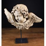 An 18th Century Carved Limewood Cherub's Head depicted with flowing curly locks and feathery wings,