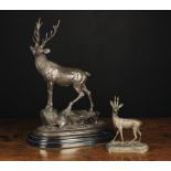 A Brown Patinated Bronze Stag stood on a rocky outcrop and mounted on a moulded oval black marble