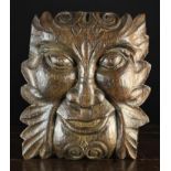 An Antique Boldly Carved Oak Facemask of Greenman with coiled scrolls adorning his forehead and