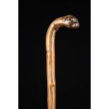 A Rustic Walking Stick. The handle carved in the form of a boxer dog's head, 34½" (88 cm) in length.