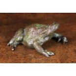 An Italian Renaissance Bronze Study of a Toad with brown/green patination, Padau,