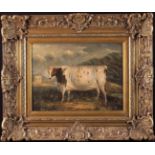 An Oil on Canvas: Naive Painting of a Heifer in landscape, 12" x 15¾" (31 cm x 40 cm),