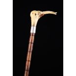 A 19th Century Walking Cane having a carved bone handle in the form of an elephant's head inset