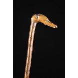 A Rustic Walking Stick; the handle carved in the form of a whippet's head with inset glass eyes,