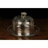 An Attractive 19th Century Etched Glass Cheese Dome with silver mounted rim and cow finial.