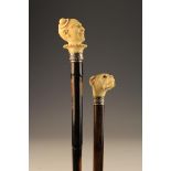 Two 19th Century Walking Canes with carved ivory handles: One carved in the form of a bulldog's