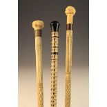 Three Fine 19th Century Walking Canes: Two of whale bone and marine ivory with elaborately carved