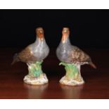 A Pair of 19th Century Meissen Partridges (A/F) stood amongst clumps of reed;