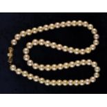 A Pearl Necklace with 9 Carat Gold Clasp.