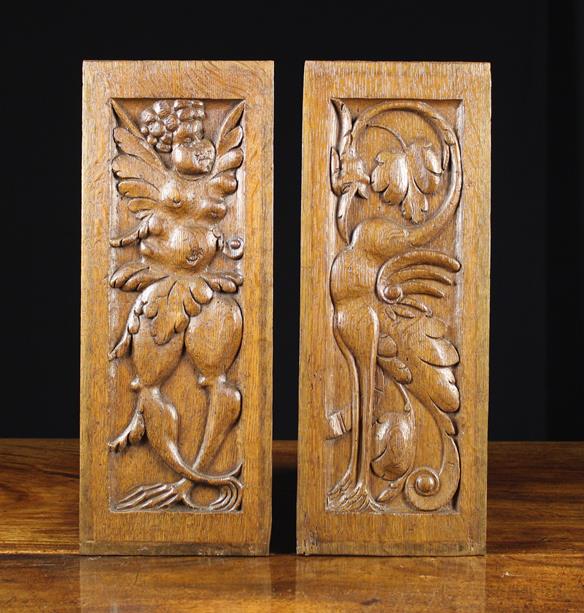 A Pair of 16th Century Oak Panels carved with zoomorphic creatures, 18" x 7" (46 cm x 18 cm).