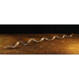A Late 19th/Early 20th Century Rustic Serpent Stick formed from a contorted branch;
