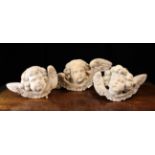 Three Baroque Relief Carved Limewood Angel Heads.