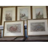 A set of eleven framed and ten unframed nature prints of birds, a squirrel, crab, lobster, mice, and